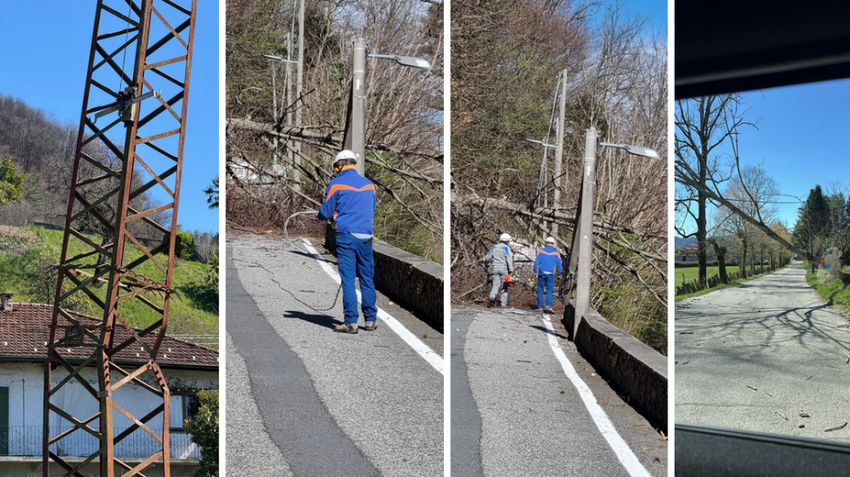 Orta e Miasino, piante sulle linee elettriche. Danni all'alta tensione a Casale  
